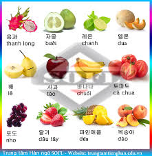 Một số từ tiếng hàn về trái cây