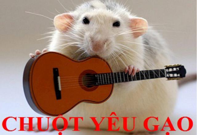 ​Học tiếng Hàn qua bài hát chuột yêu gạo