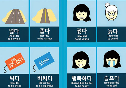 Học từ vựng trái nghĩa trong tiếng hàn
