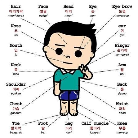 Làm sao để học từ vựng nhớ lâu?