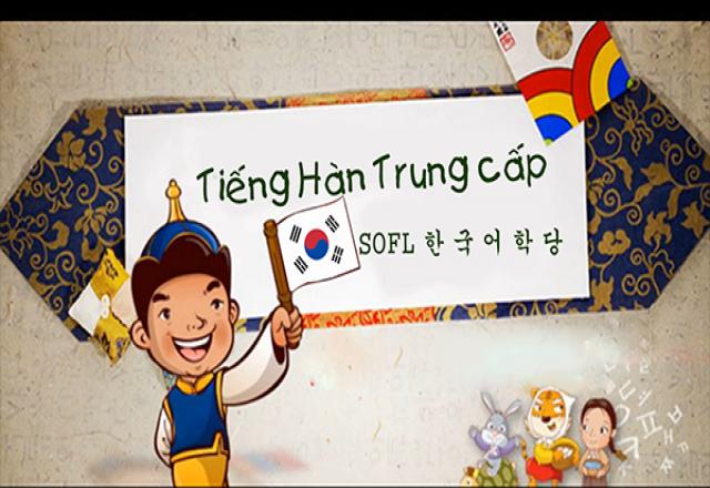 Ôn tập ngữ pháp & từ vựng tiếng Hàn trung cấp bài 9