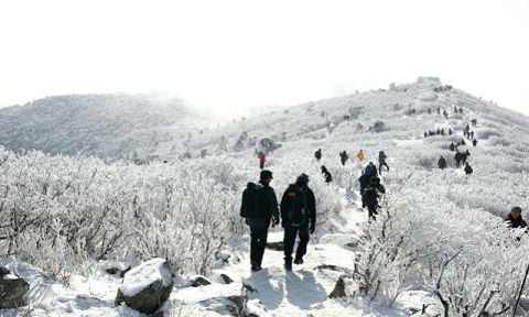 núi tuyết Taebaeksan